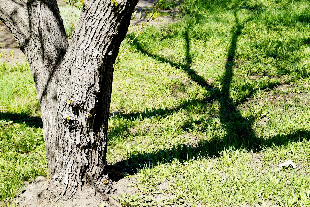 Треугольник - Maria Rainer