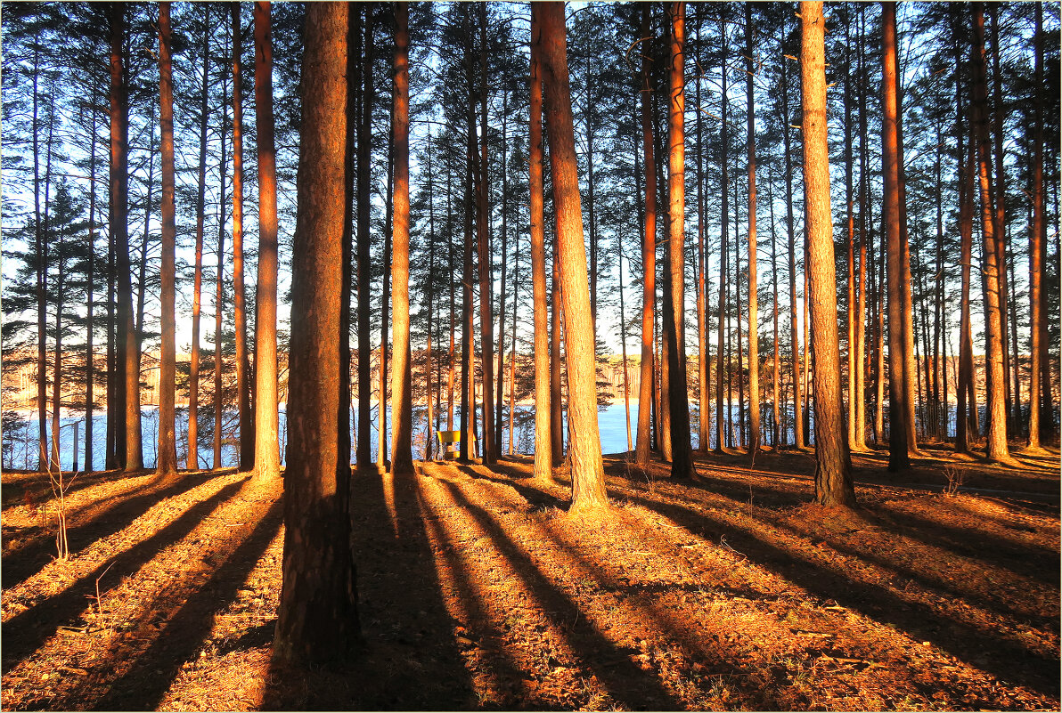 Раннее весеннее утро - Leonid Rutov