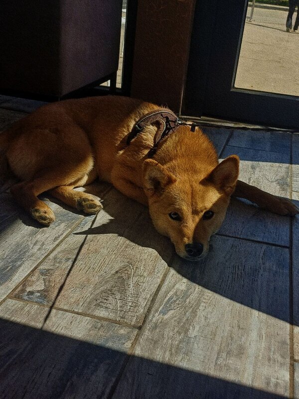 Тень осуждения - Алена 