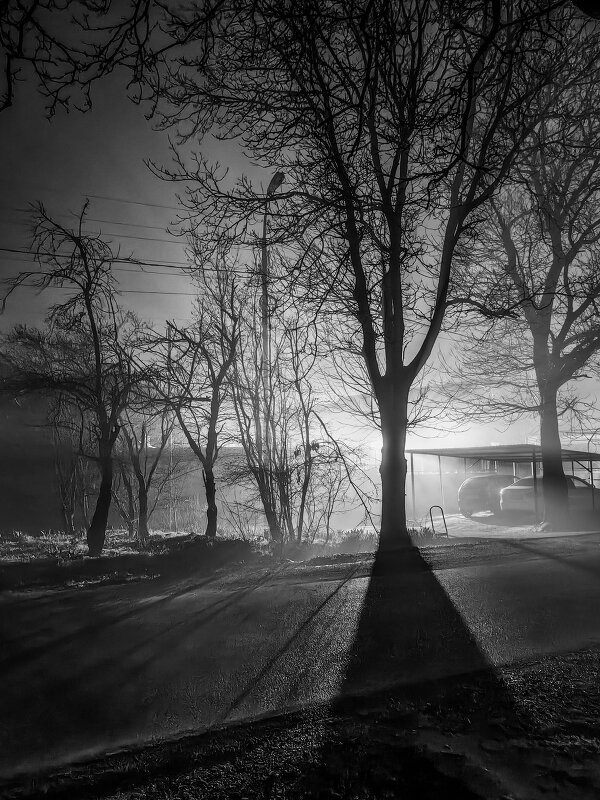 Ночь. Улица. Фонарь. Рассветы. - Игорь 