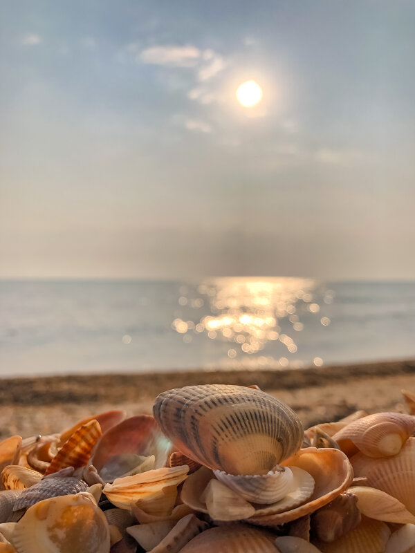 Восход на Каспии - ♛ Г.Король