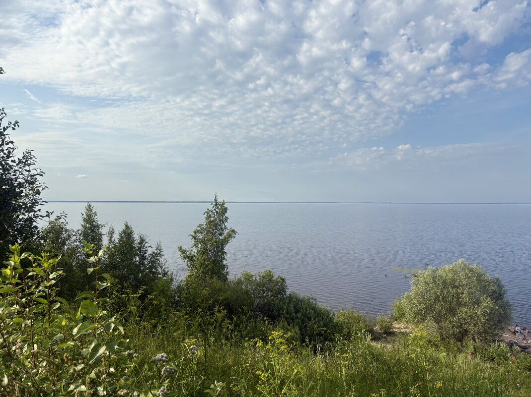 ... - Наталия Павлова