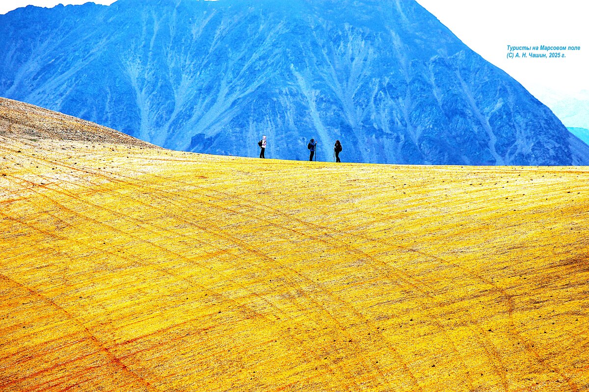 Туристы на Марсовом поле - Александр Чашин