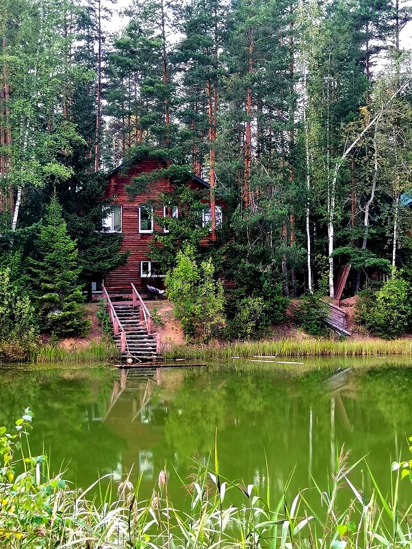 Дом на берегу - Любимова Ольга 