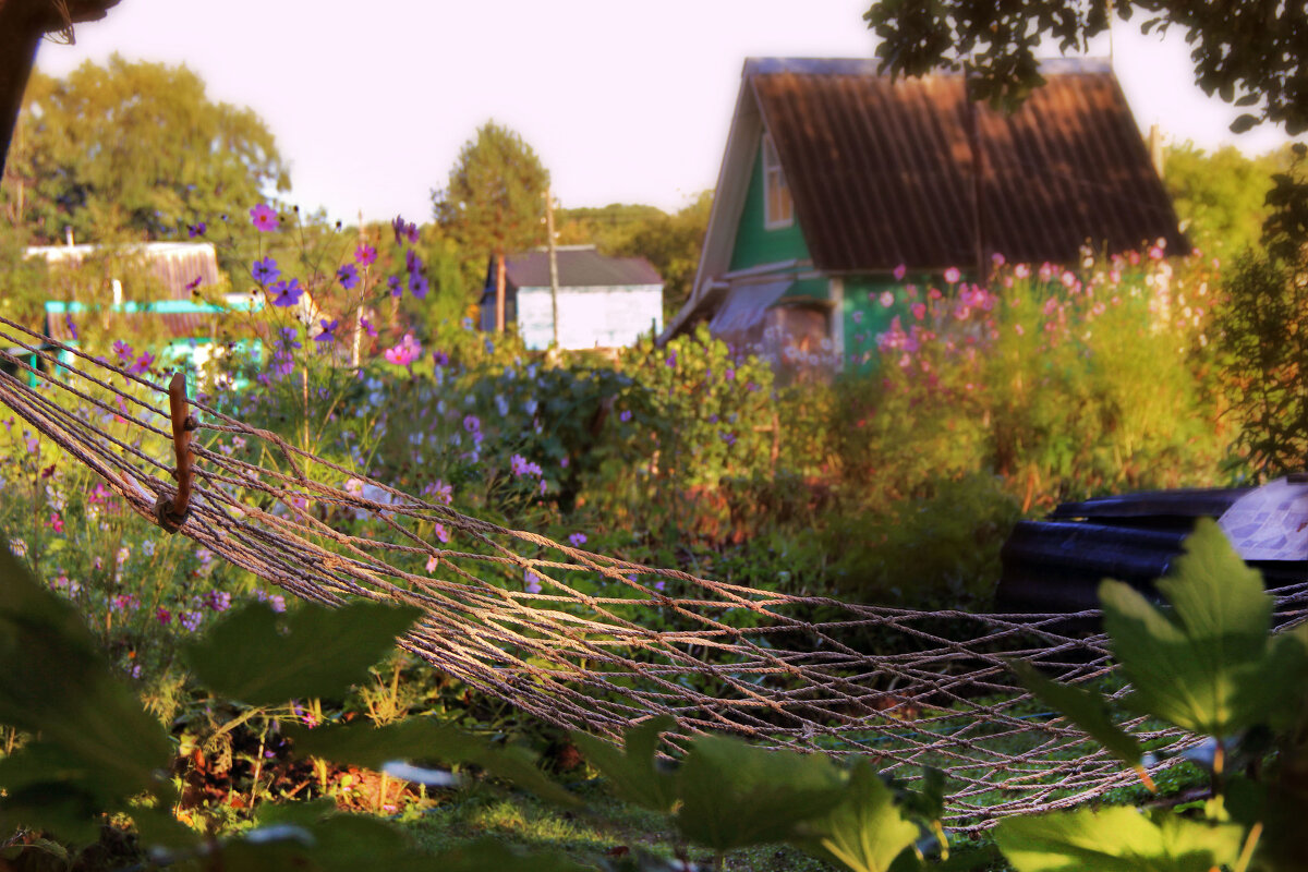 лето - РИТА ЛЕВКОВА