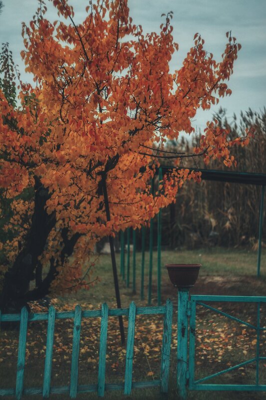 Осеннее забвение :: Сергей В