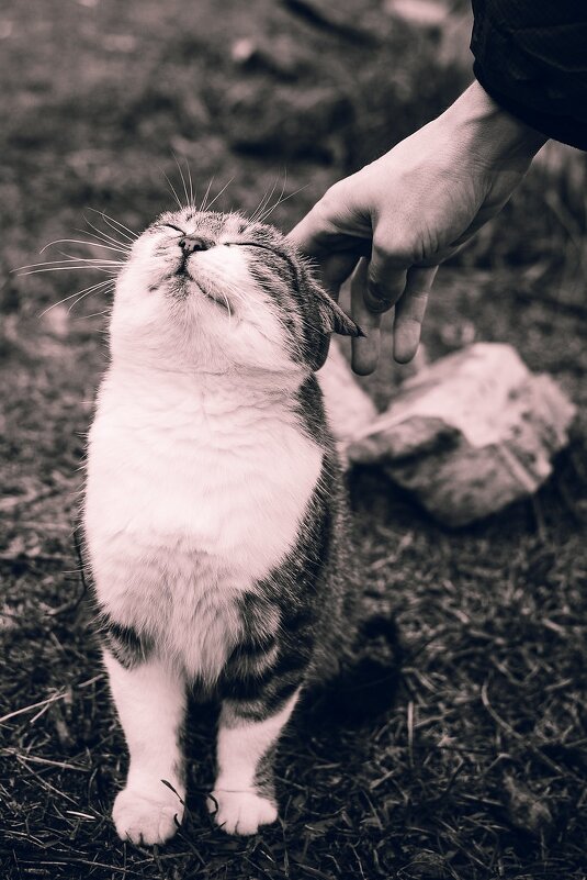 ... - Валентина M