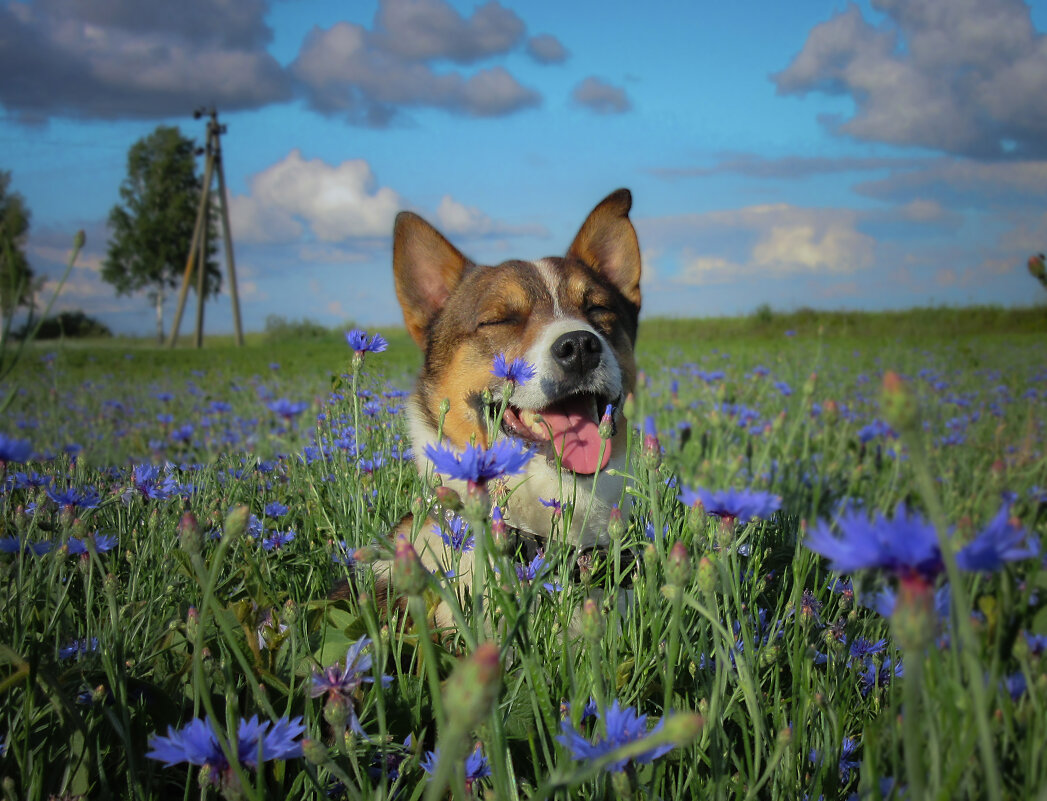 КОНКУРС - Александра [-/