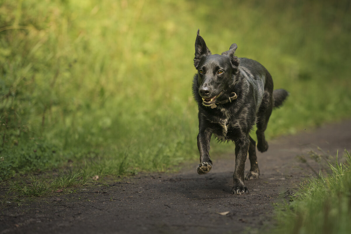 Друг - Максим Вышарь