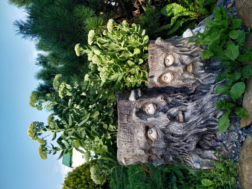 Подселенцы?! - Тамара Лисицына