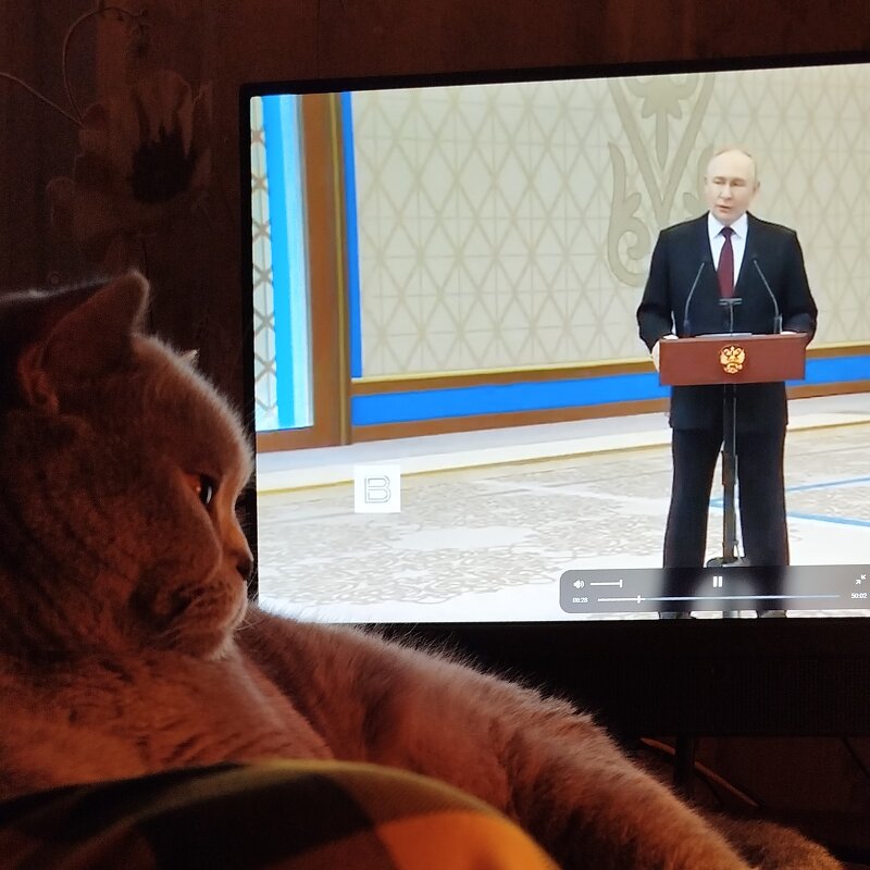Слушал Президента. Много думал. :: Лютый Дровосек