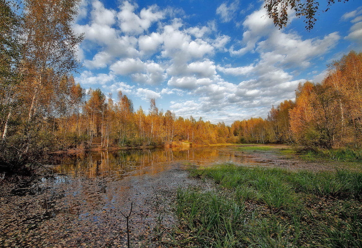 ... - евгений 