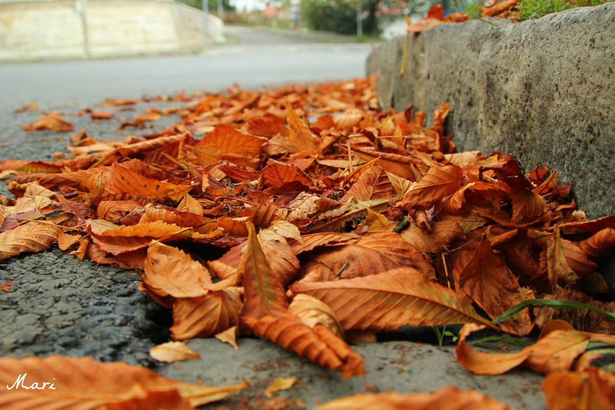 ностальгия по осени - amrinka 