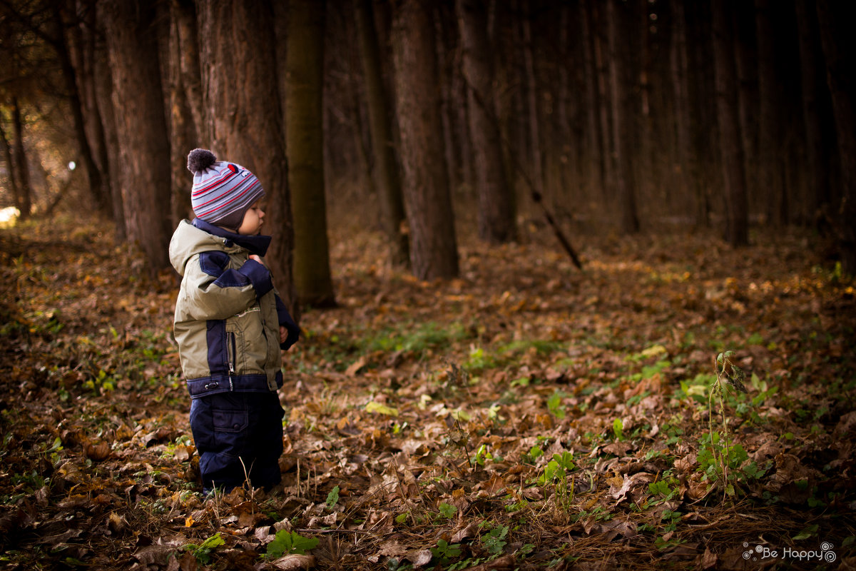 Сказочный лес - Елена Шарафуллина