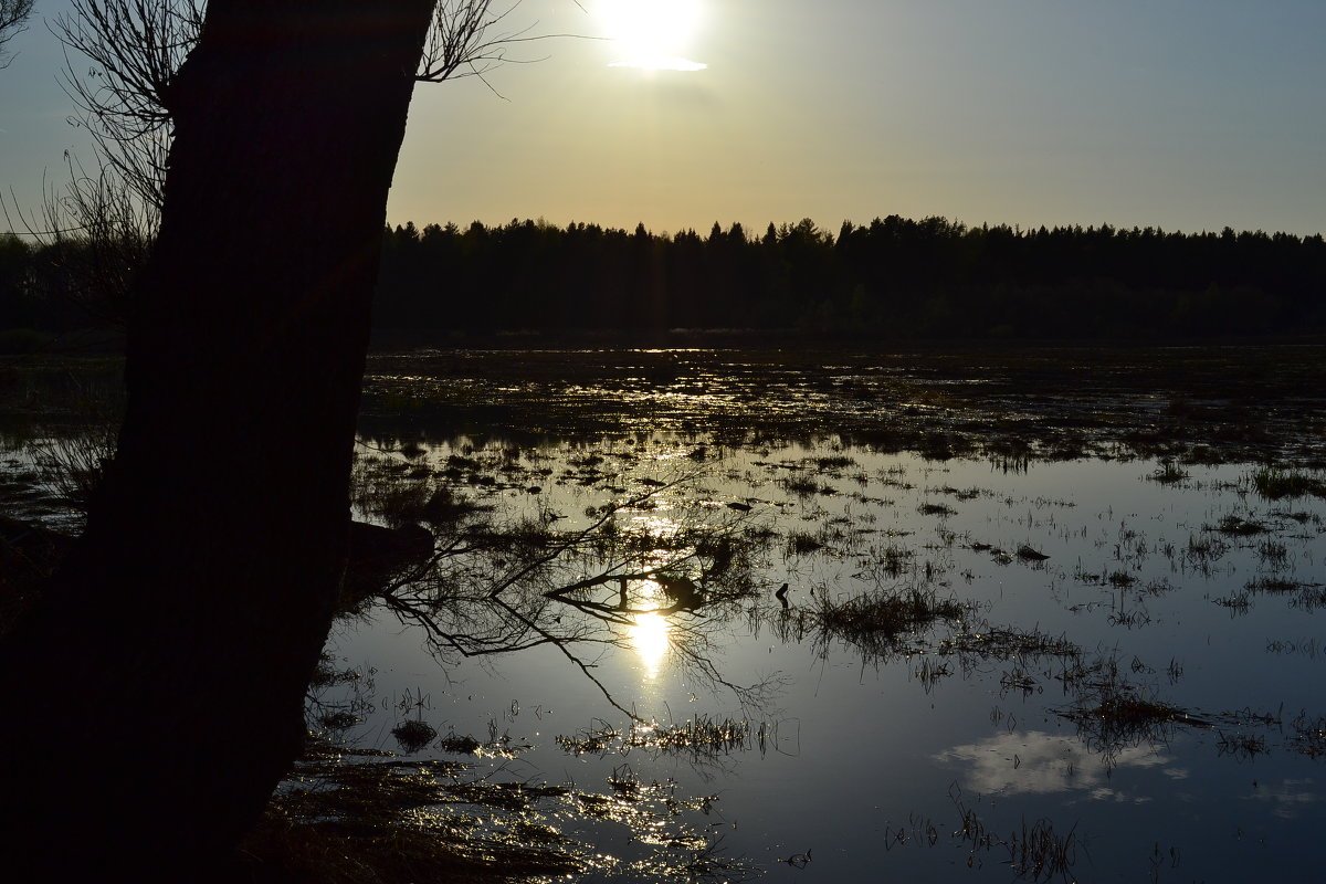 Утро в Астрахани - Дарья Долгова