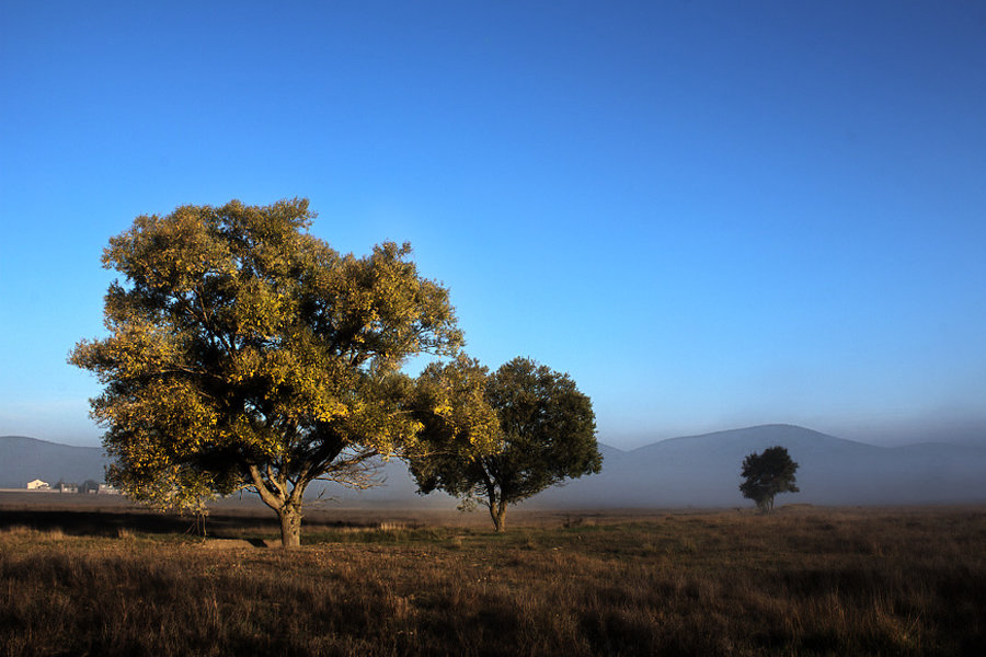 ... - Юрий Кущ