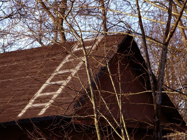 Stairway to Heaven - Дмитрий Николаев
