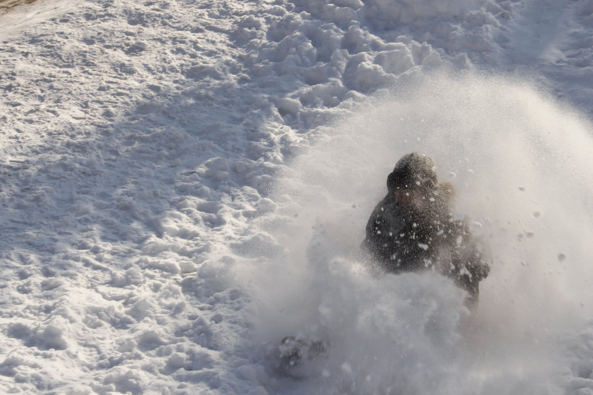 Снежный шар - Svetlana Bikasheva