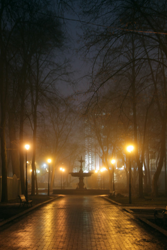 Туманные отголоски - Ната Семионова