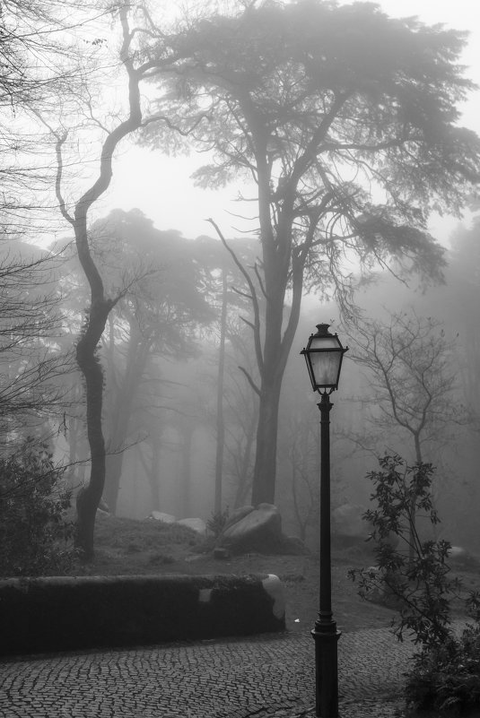 Туманный свет - Denis Mayboroda