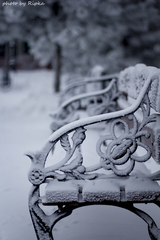 ... - Щеголяева Татьяна