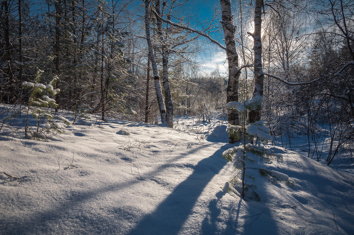Мороз и солнце - Андрей Гусев