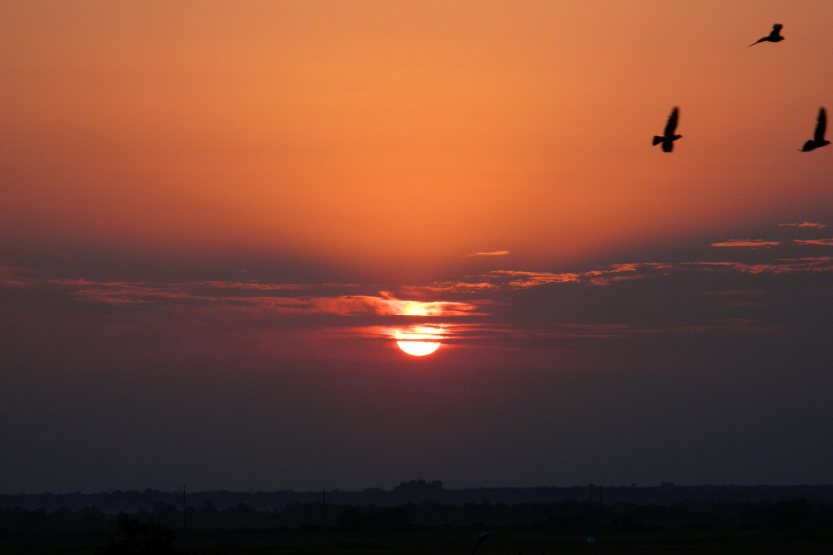 Рассвет - Касим 