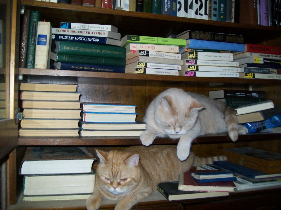 Что-бы почитать? - Светлана 