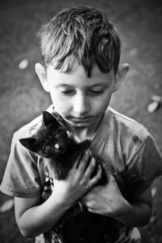 Мы в ответе за тех кого приручили - Павел Огай