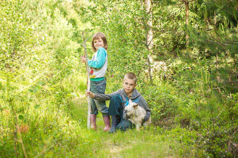 В лес по грибы - Ольга Осипова