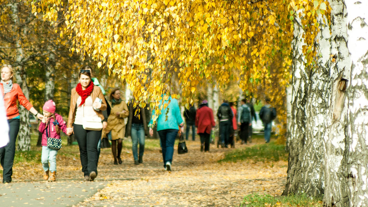 Осенний пейзаж - Дмитрий Глухов Осенний пейзаж - Дмитрий Глухов