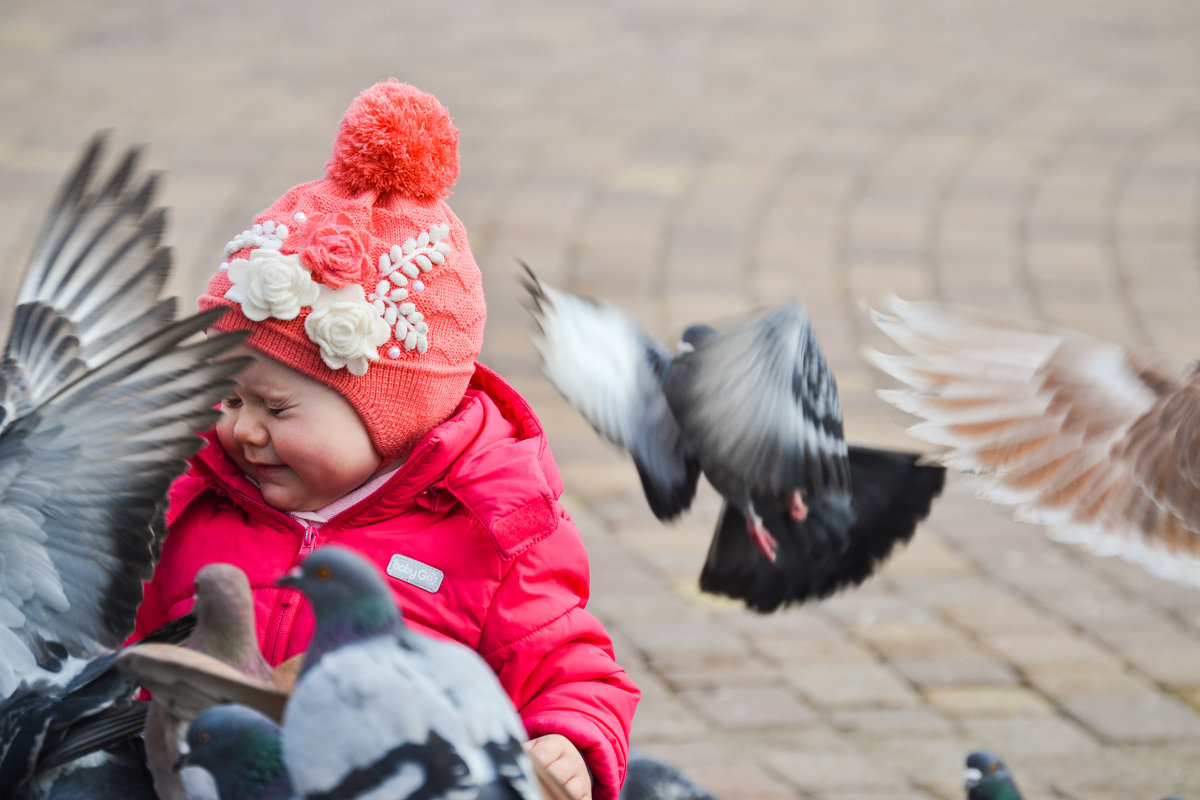 Прилетели птички - Елена 
