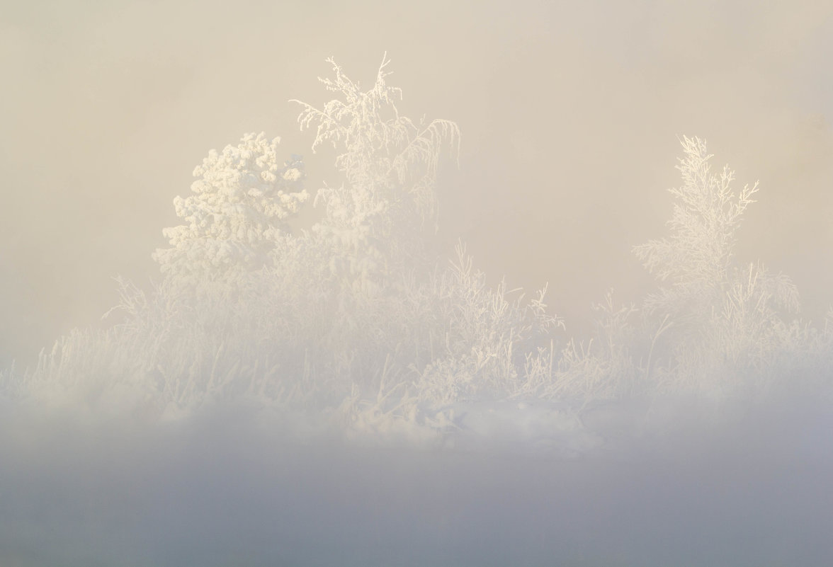 Зимняя сказка - Алексей. Бордовский