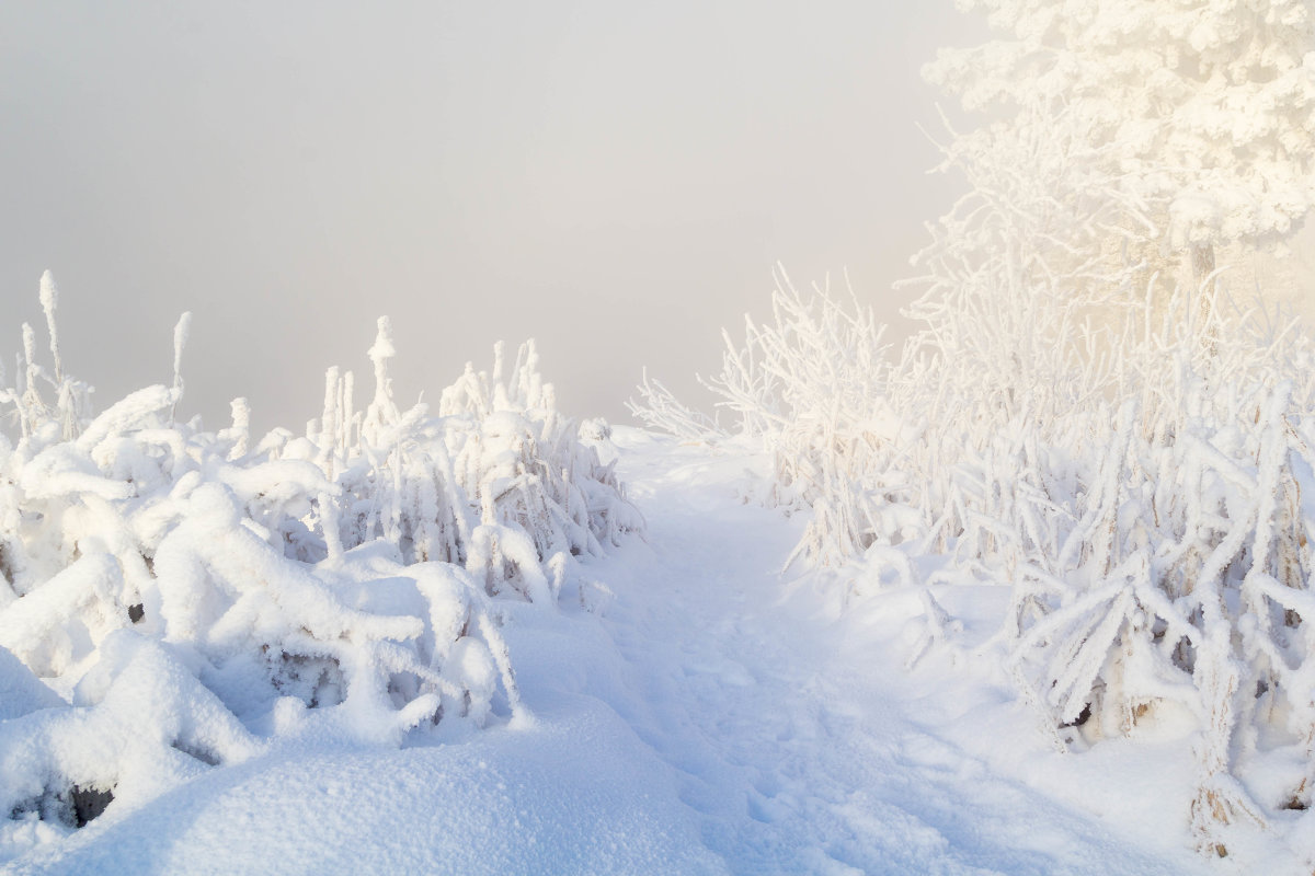 Зимняя сказка - Алексей. Бордовский