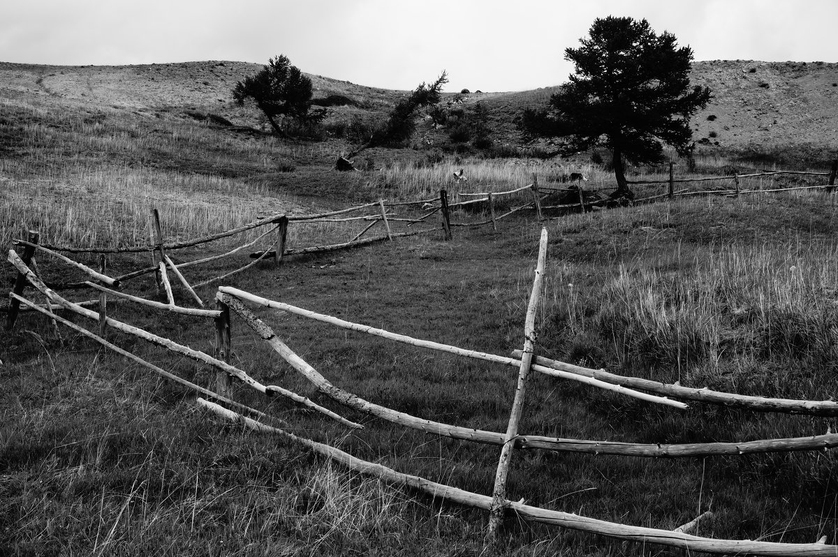 Деревенский простор - olga 