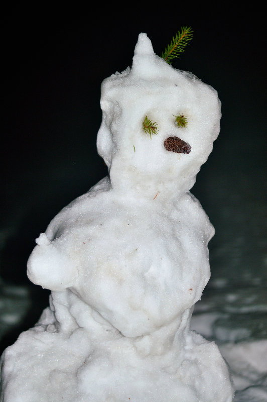 Снеговику любопытно - Константин Ясинский