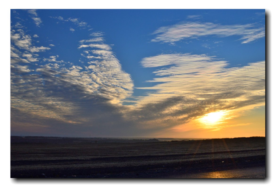 Пейзаж у дороги. - Александр 