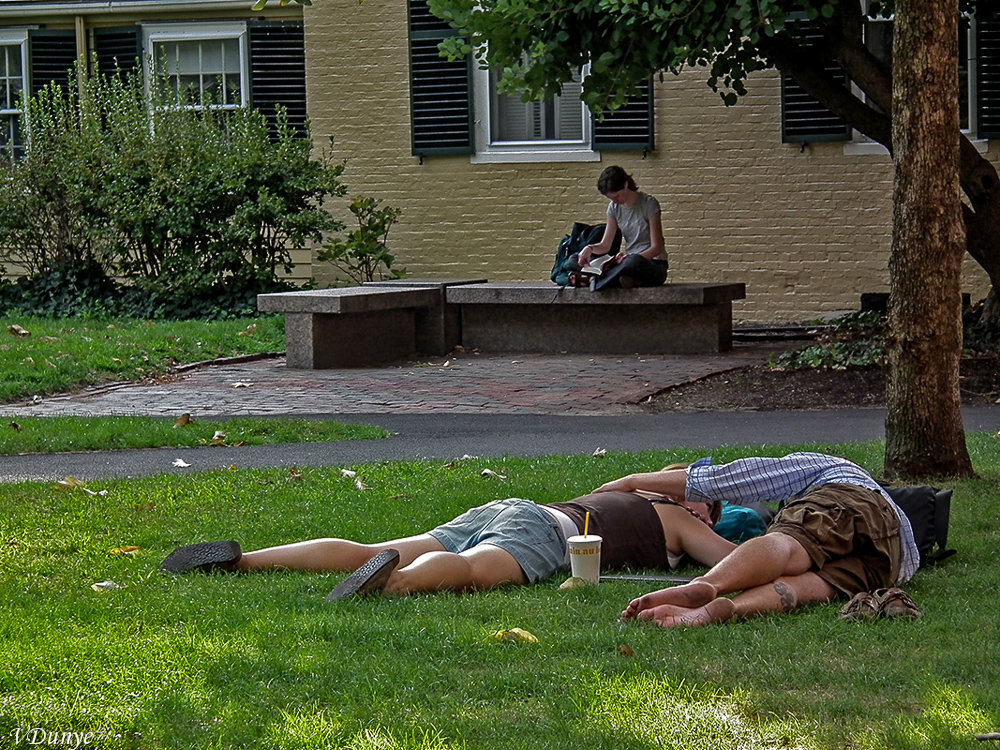 Грызем гранит науки - Vladimir Dunye