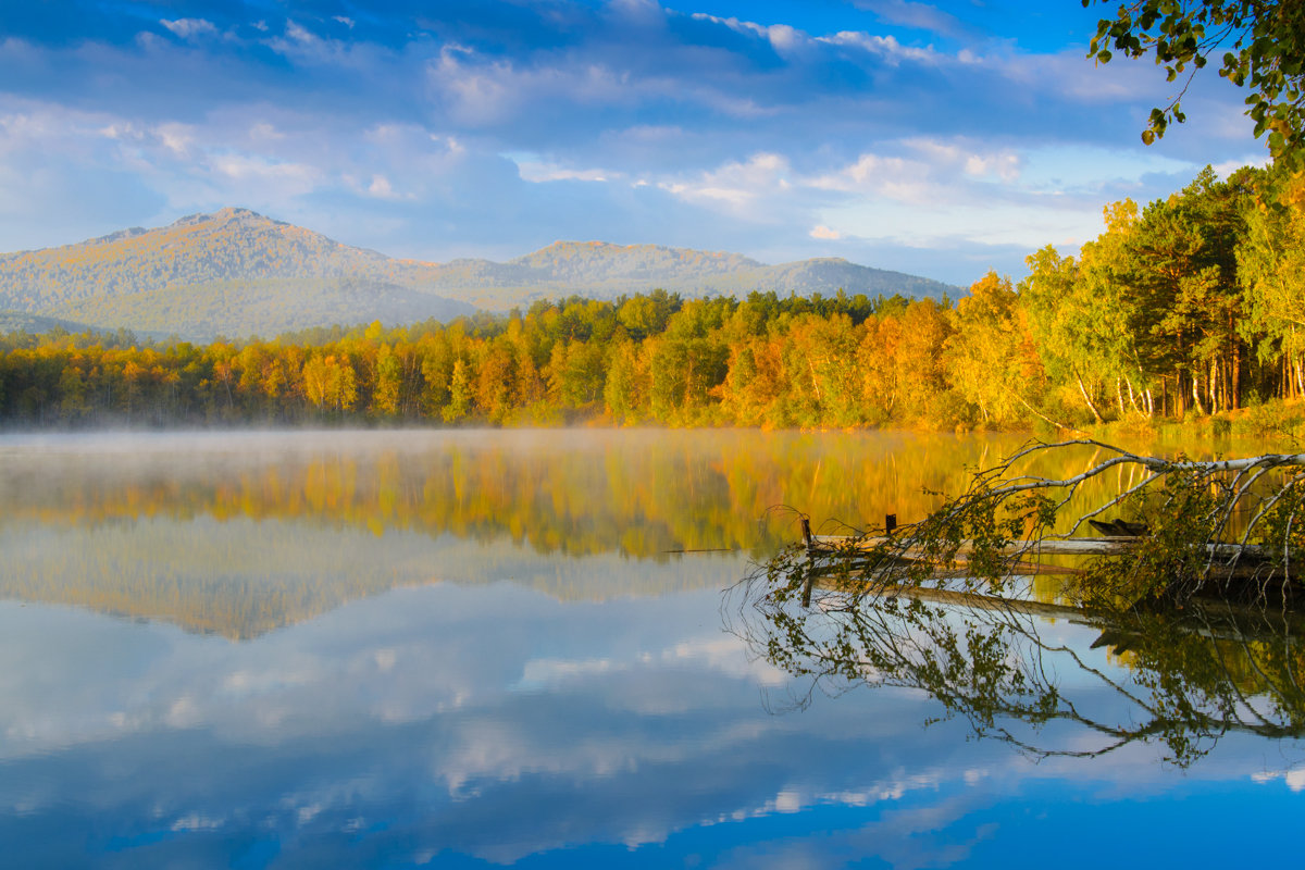 ... - Иван Рыжков