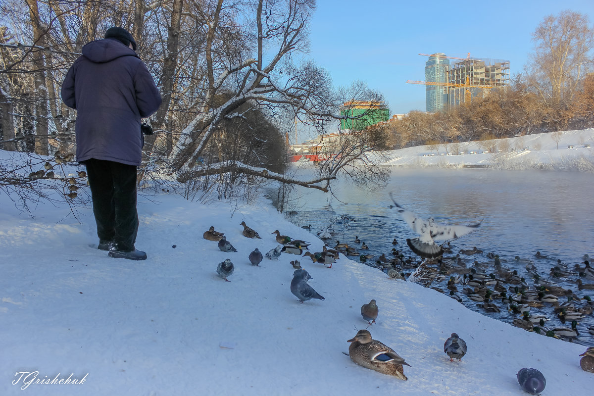 Кормилец - Татьяна Грищук