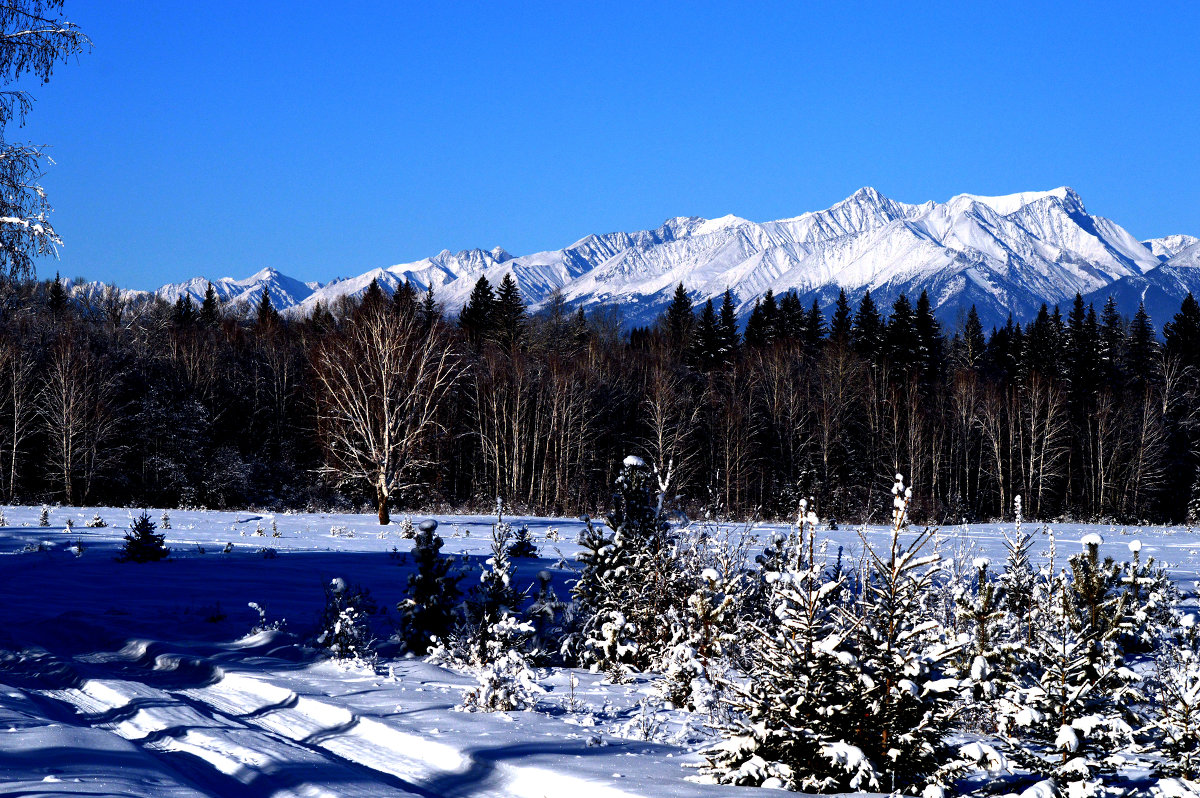 Зимний пейзаж - Александр Ефремов Зимний пейзаж - Александр Ефремов