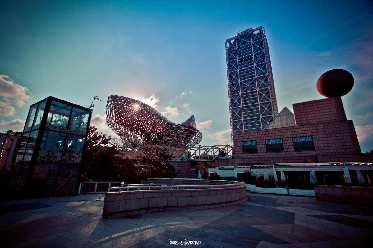 barcelona - Sergi barcelona - Sergi