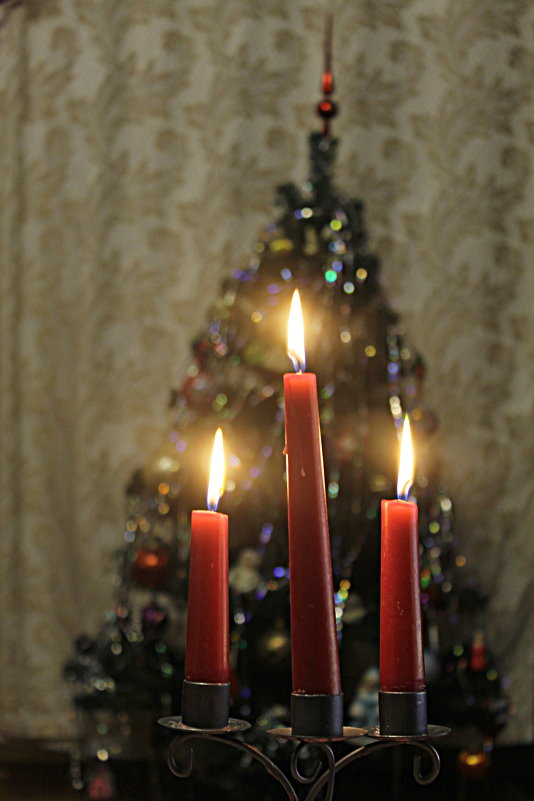 ... - Светлана Павловская ... - Светлана Павловская