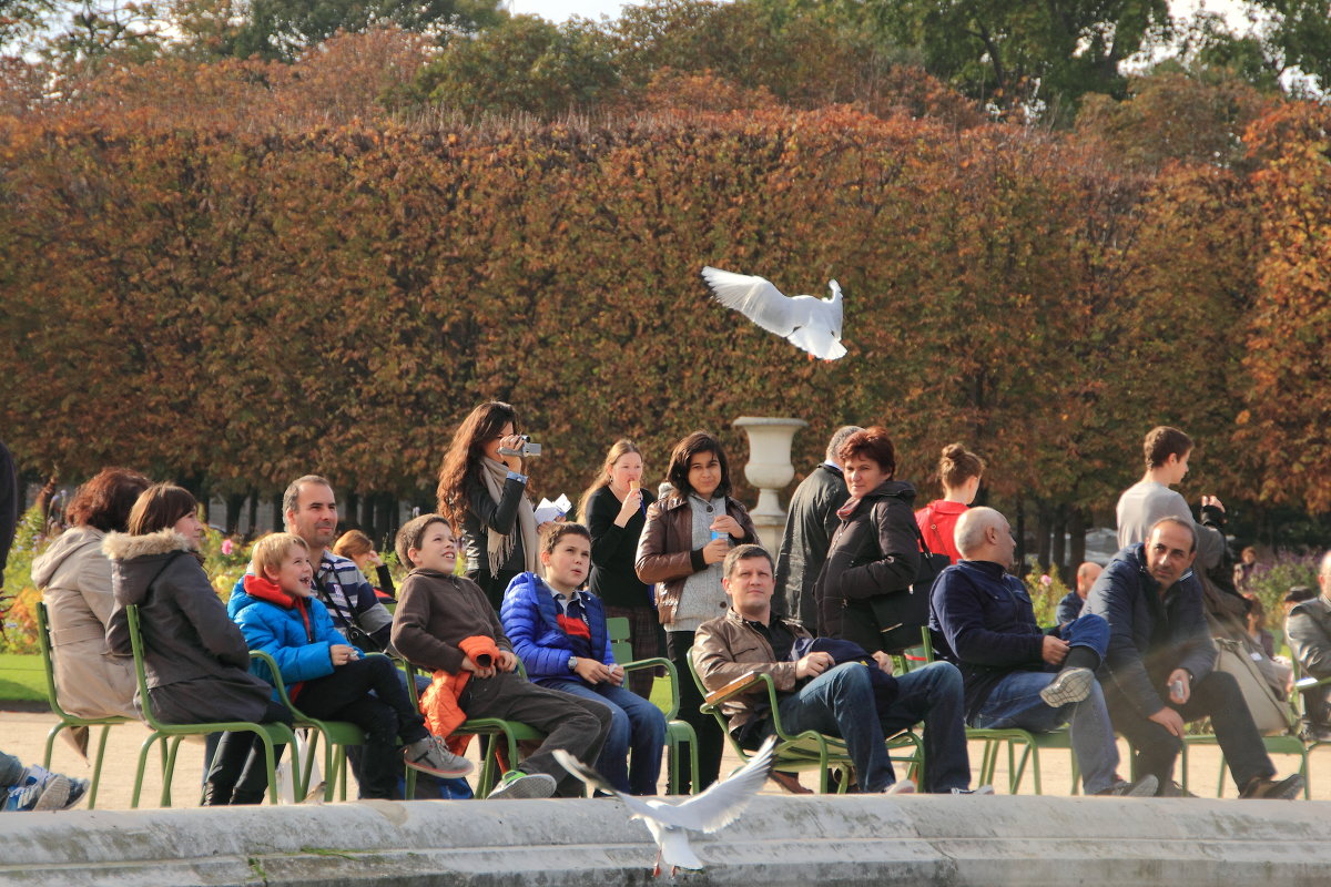 ... - Александр Солдатов