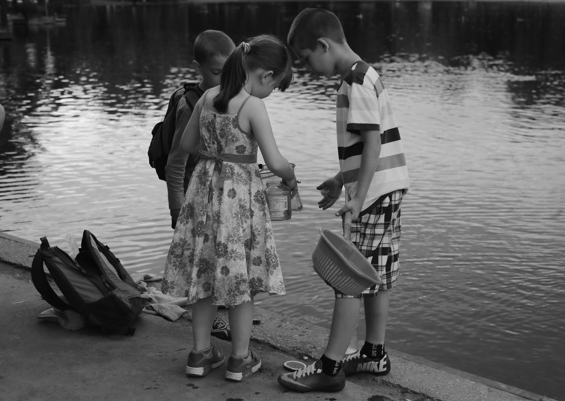 ... - OLGA ... - OLGA