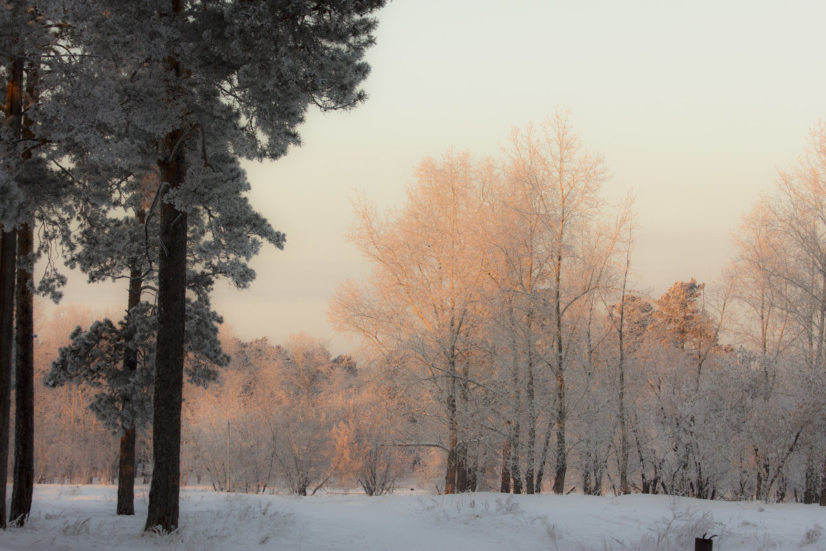зимняя сказка - sveta 
