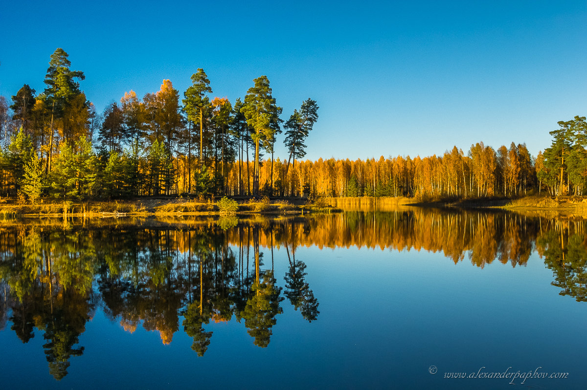 ... - Aleksandr Papkov