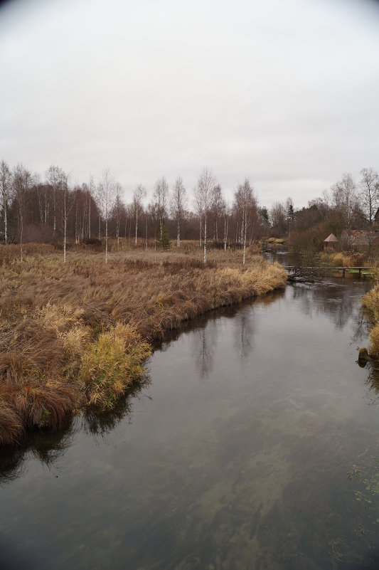 Осенний пейзаж - Ната 