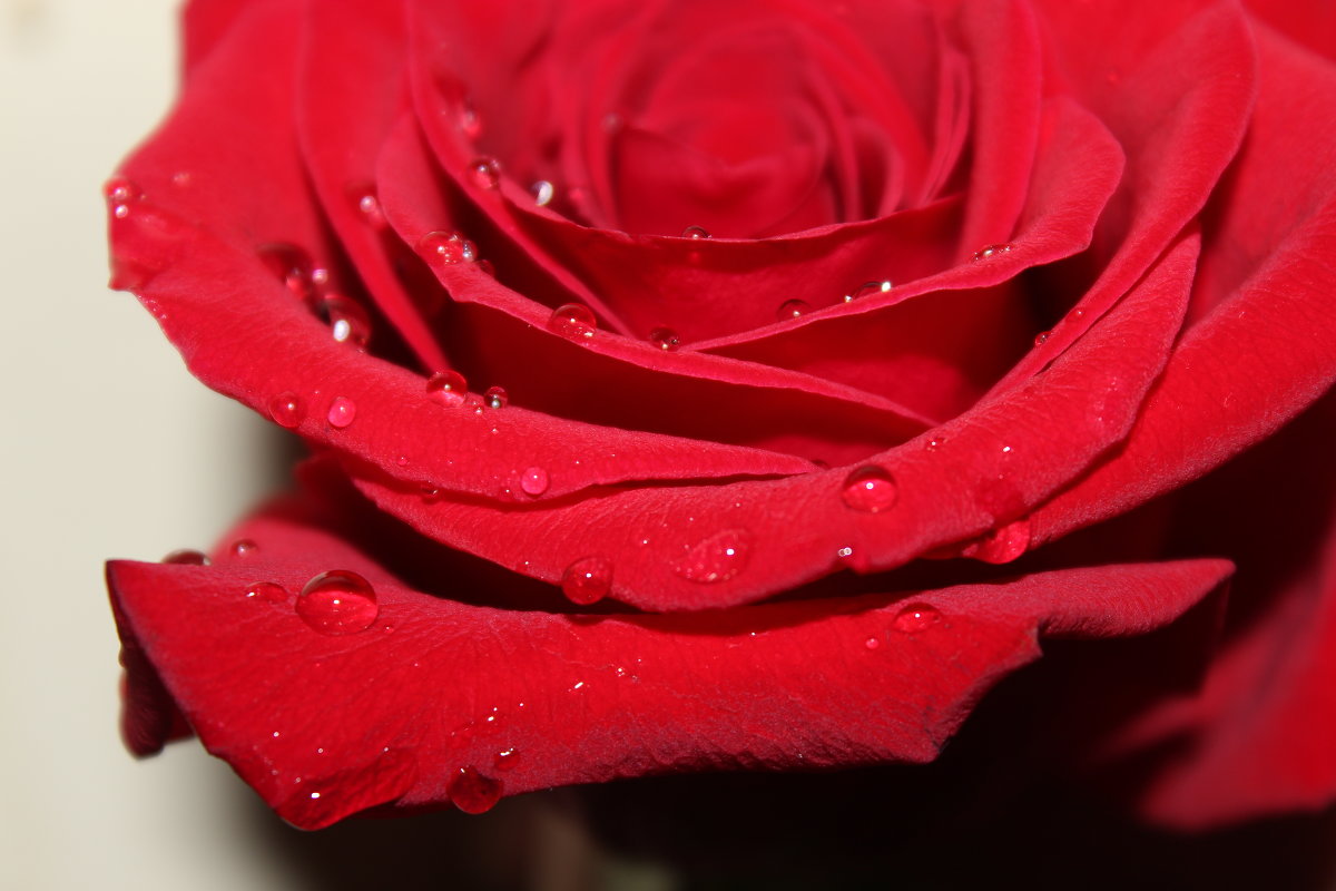 ... - Наталья 