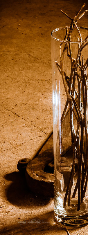 Четыре в одном - Svetlana Sukhorukova